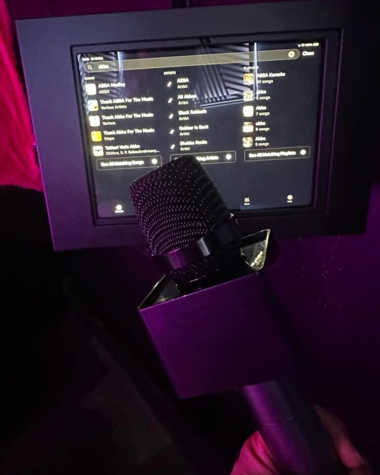 Karaoke 768x961